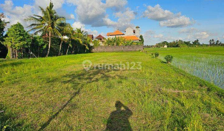 Hot List Di Jual Tanah Cocok Untuk Usaha Dan Villa View Sawah Terdiri Dari 2 SHM Lokasi Jalan Utama Kedungu, Tabanan 1