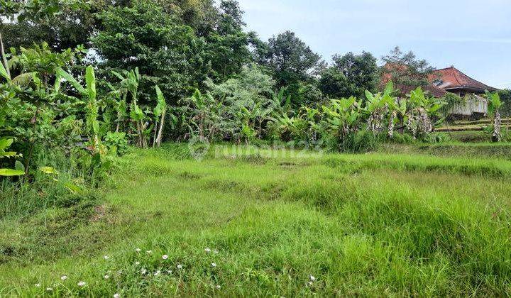 Hot List Di Jual Tanah Sangat Eksotis Lokasi Nyanyi, Tabanan 1