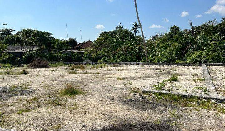 Hot List Di Jual Tanah Premium Komersil Lokasi Canggu 2