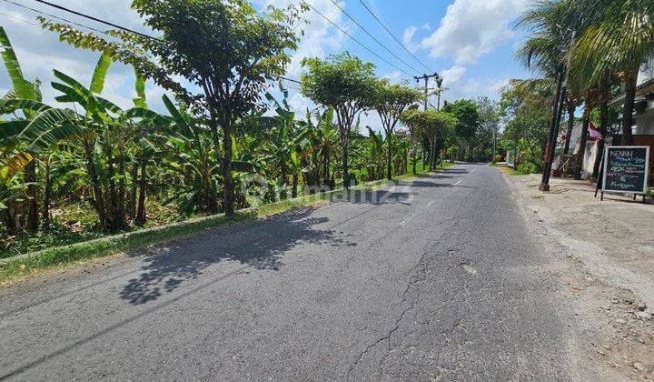 Hot List of Commercial Land for Sale in Villa Environment, Tumbak Bayuh Pererenan Location 2