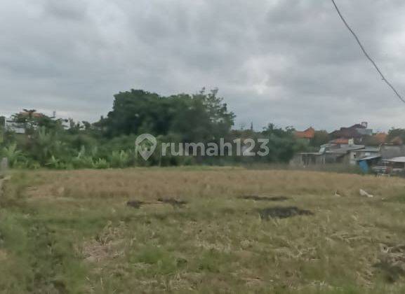 Hot List Di Jual Tanah Lingkungan Villa View Sawah Lokasi Tibubeneng,canggu 1