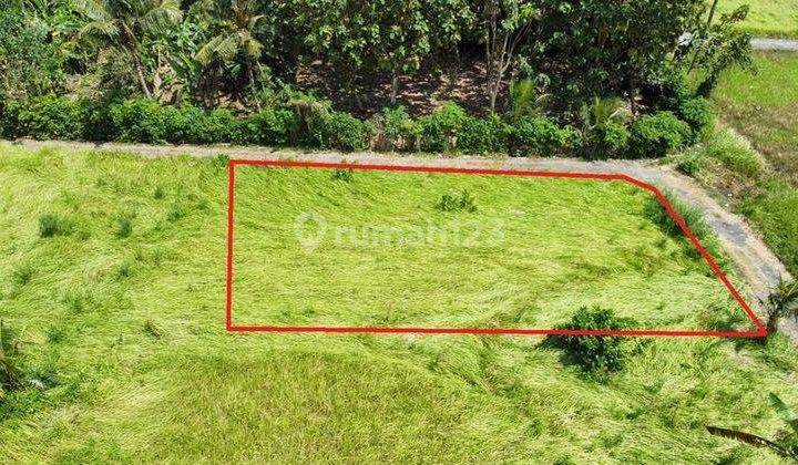 Hot List Di Jual Tanah Lokasi Lodtu Duh Ubud Gianyar 1