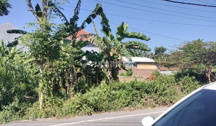 Hot List of Land for Sale in Tukad Badung Xvi Renon, South Denpasar 2