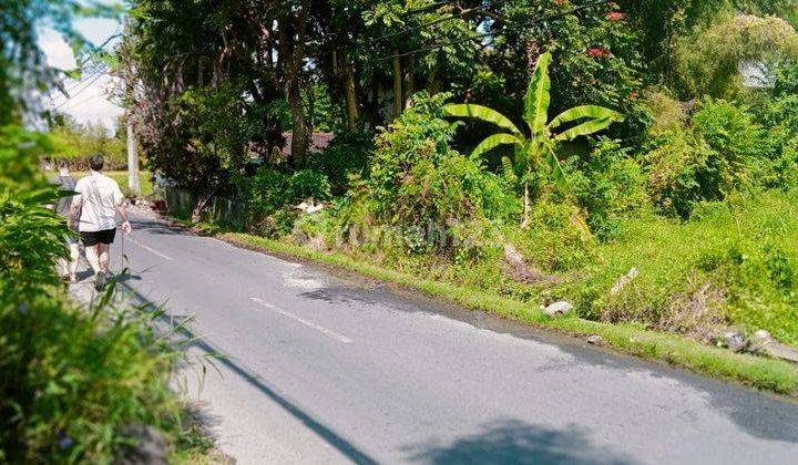 Hot List Di Jual Tanah Lokasi Tirta Tawar Ubud 2