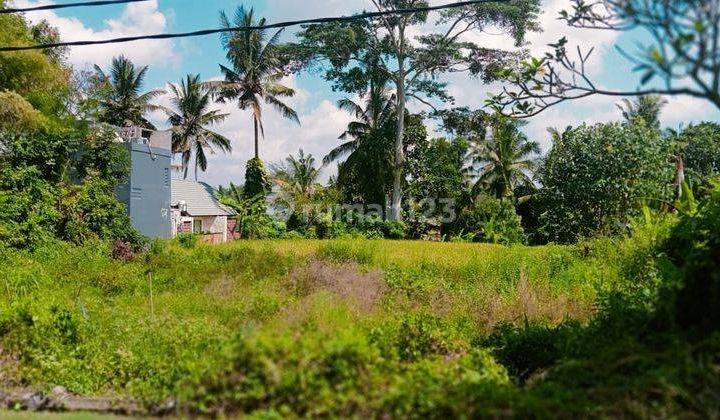 Hot List Di Jual Tanah Lokasi Tirta Tawar Ubud 1