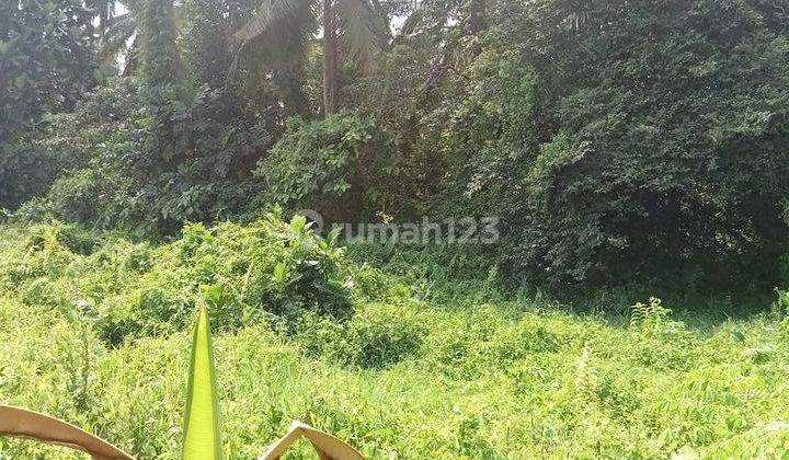 Hot List Di Jual Tanah View Sawah Lokasi Tirta Tawar Ubud 1