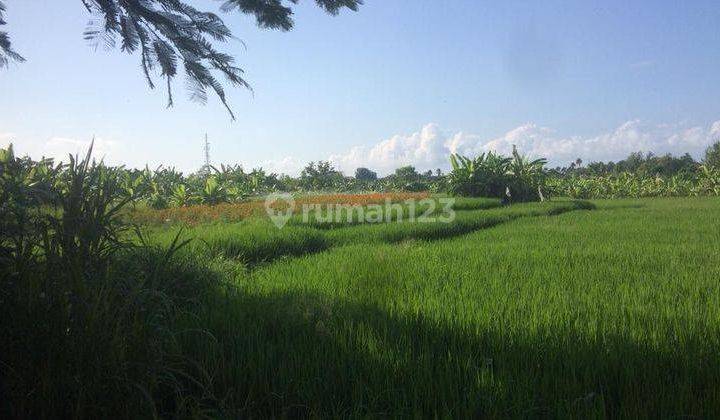 Hot List of Premium Land for Sale in Seminyak Location 2