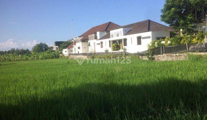 Hot List of Premium Land for Sale in Seminyak Location 1