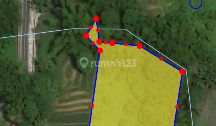 Hot List of Land for Sale on Jalan Pantai Kedungu 2