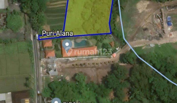 Hot List of Land for Sale on Jalan Pantai Kedungu 1