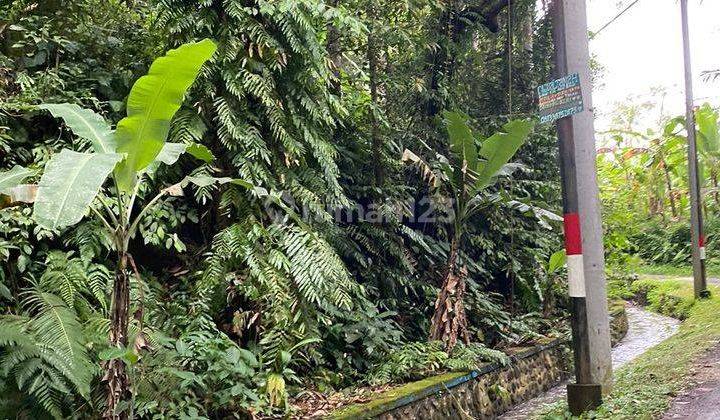 Hot List Di Jual Tanah View Sawah Lokasi Peliatan Ubud 2