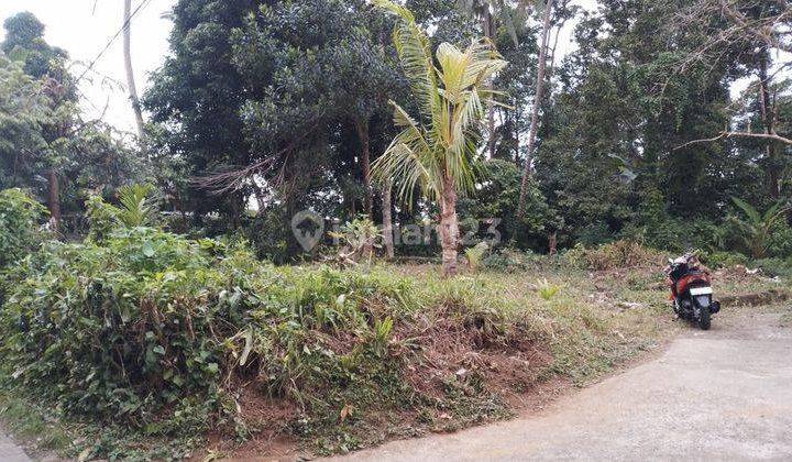 Hot List Di Jual Tanah View Hutan Lokasi Kedewatan Ubud 2