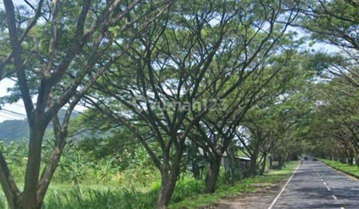 Hot List Di Jual Tanah Lokasi By Pass Ida Bagus Mantra Kusamba Klungkung 1