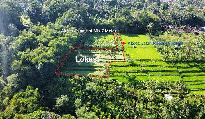 Hot List Di Jual Tanah View Sawah, Hutan, Lokasi Payangan Ubud Tidak Jauh Dari Villa Awan Biru Dan Hangging Garden 1