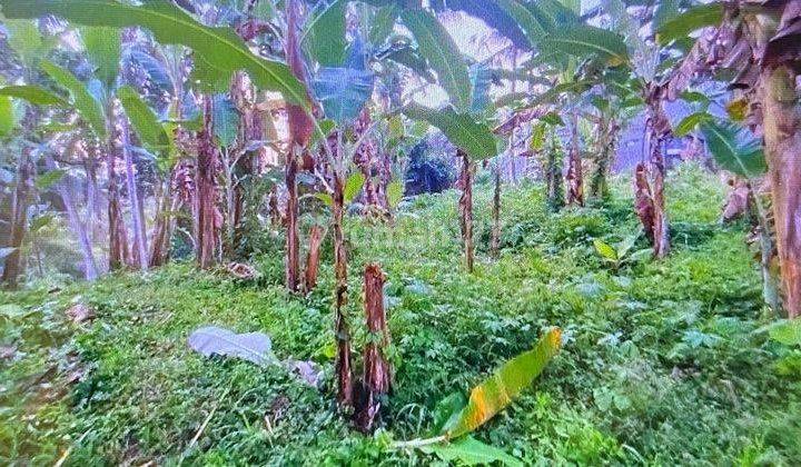 Pasti Deal Di Jual Tanah Lokasi Tirta Tawar Ubud Gianyar  2