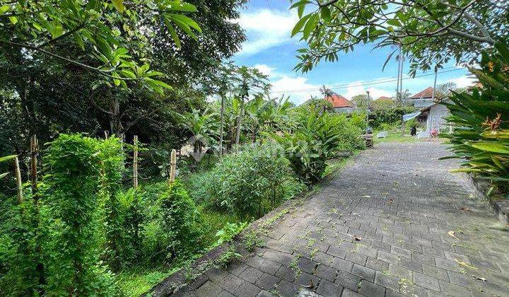 Hot List For Sale Land Loss River View Green Line Rice Fields Location Bumbak Dauh Umalas 2