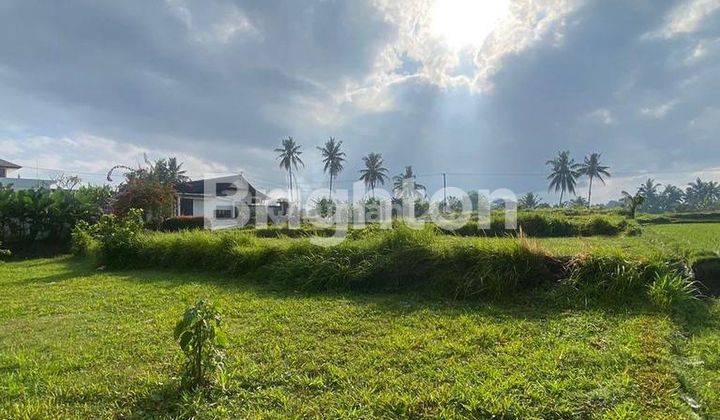 CHEAP LAND NEAR CENTRAL UBUD, BALI 1