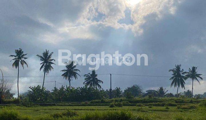 CHEAP LAND NEAR CENTRAL UBUD, BALI 2