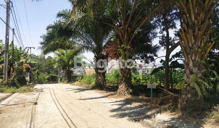 TANAH SIAP BANGUN DI PAKUHAJI CIMAHI 2