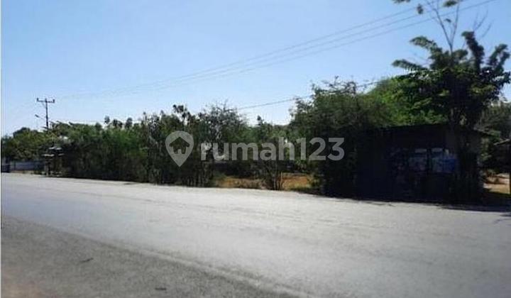 Oebelo kupang tanah sebelah kantor desa depan jalan Timor raya 1