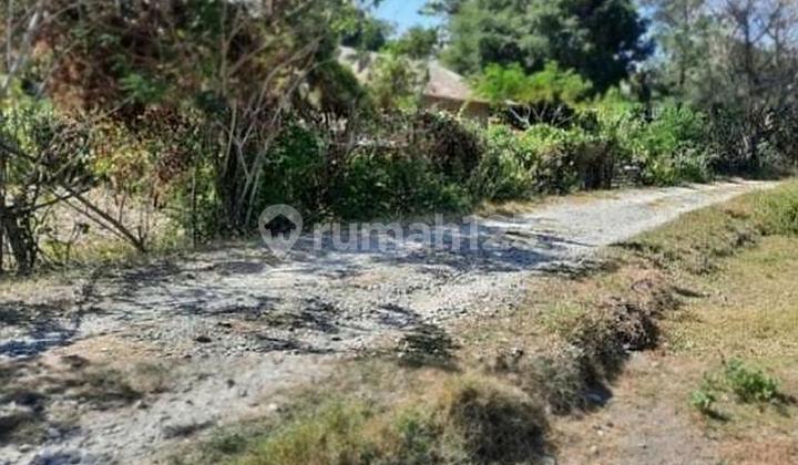 Oebelo kupang tanah sebelah kantor desa depan jalan Timor raya 2