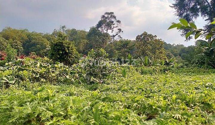 Tanah Gratis Villa di Tenjo, Tenjolaya Bogor, Kawasan Wista Gunung Salak 2