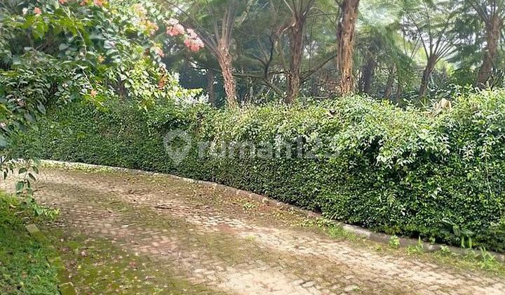Tanah Gratis Villa di Tenjo, Tenjolaya Bogor, Kawasan Wista Gunung Salak 2