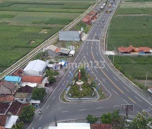 Tanah Luas 311 Meter Persegi di Pangasih Kulon Progo 2