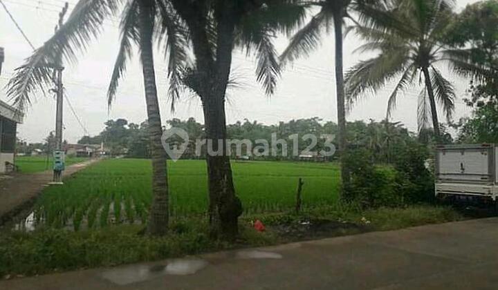 Main Road Land in Cianjur 7000m2 Near Ciranjang Terminal Main Road Land in Cianjur 7000m2 Near Ciranjang Terminal