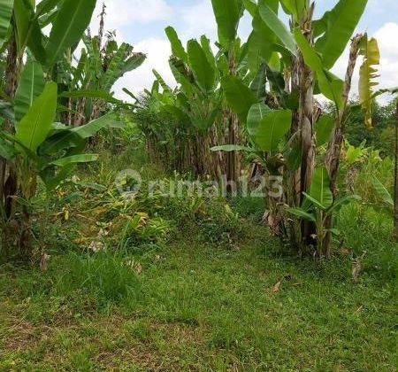 Quick sale of land units in Payangan Ubud Bali 2