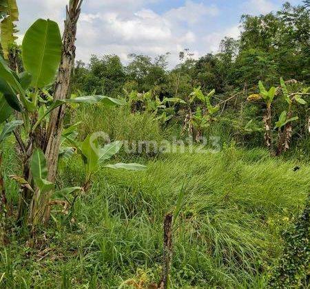 Quick sale of land units in Payangan Ubud Bali 1