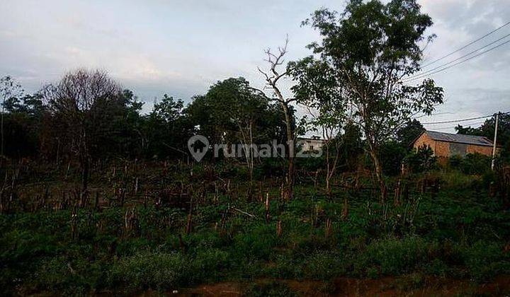 Dijual Cepat Tanah di Lorong Penerangan Simpang Rimbo Jambi 2