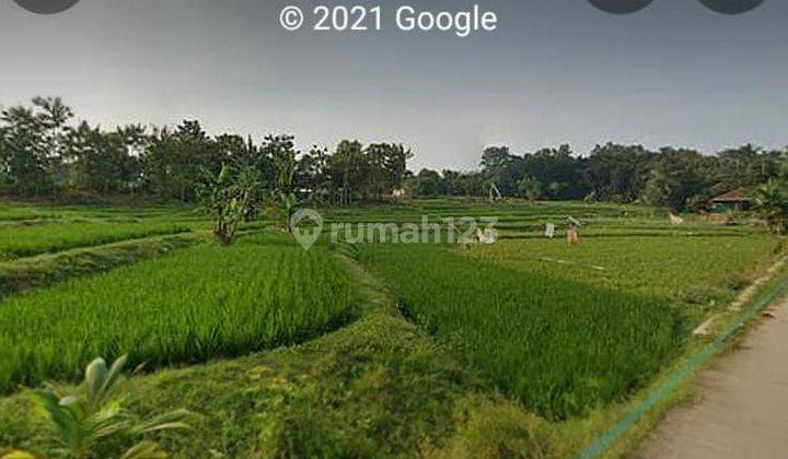 Tanah Sawah di Karawang Timur 1