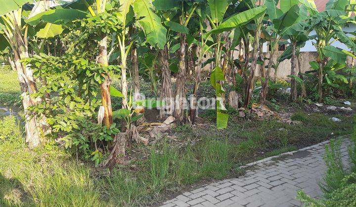 TANAH LUAS DAN PANJANG KEC SUNGGAL DELI SERDANG 2