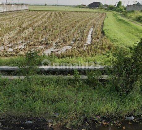 Lahan Industri Di Cirebon Pinggir Jalan Raya Sangat Strategis 2