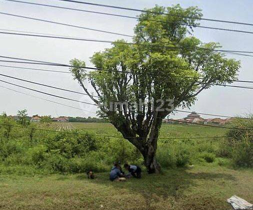 Lahan Industri Di Cirebon Pinggir Jalan Raya Sangat Strategis 1