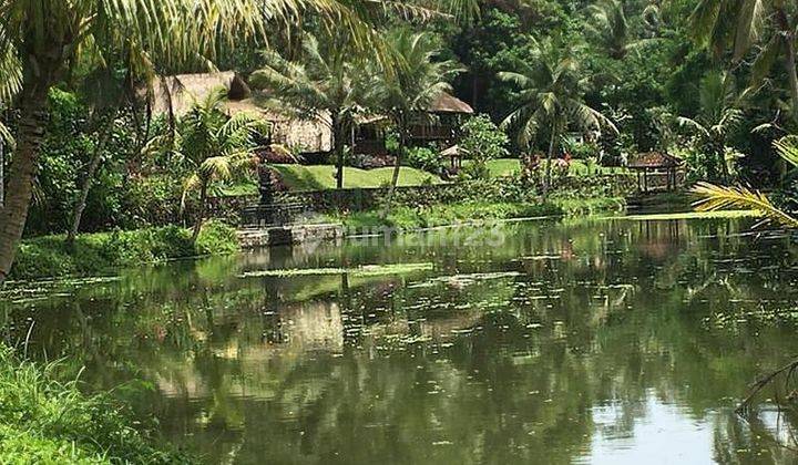 Tanah 3000 m2 Lokasi di Tabanan Bali, Sertifikat Hak Milik. 2