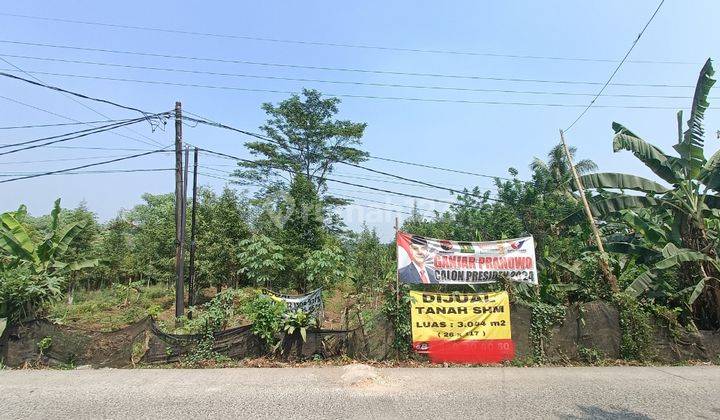 Tanah Lokasi Pinggir Jalan Ada Pohon Gaharu Usia 4 Tahun 1