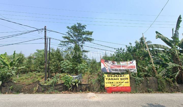 Tanah Lokasi Pinggir Jalan Ada Pohon Gaharu Usia 4 Tahun 2