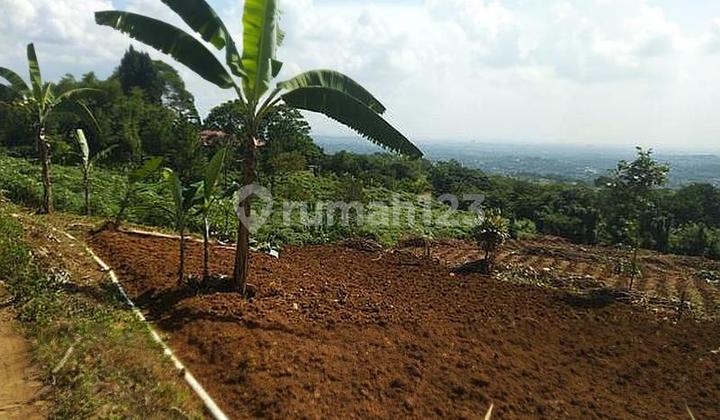 Jual Cepat Tanah kavling di Cijayanti Babakan Madang Sentul Bogor Jawa Barat