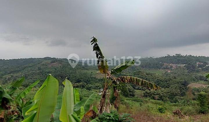 Tanah Murah Cibadak Pamuruyan ada mata airnya cocok untuk komesial Tanah Murah Cibadak Pamuruyan ada mata airnya cocok untuk komesial