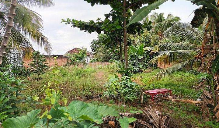 Kavling Cantik Kotak Di Kota Metro Lampung Shm 2