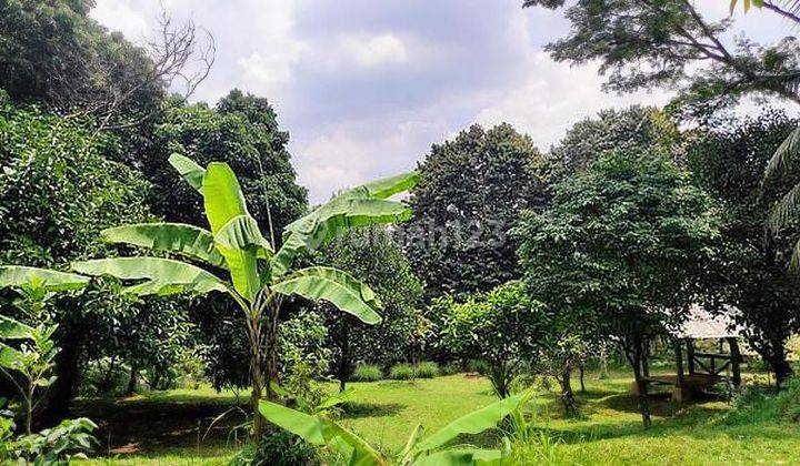 Tanah kebun 3000m pinggir jalan raya 2