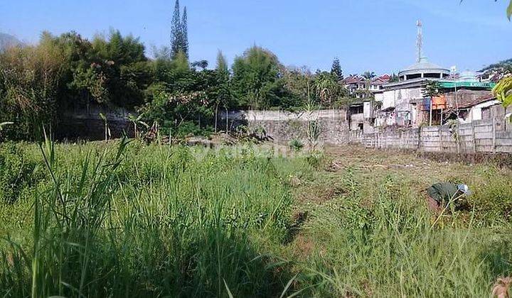 Cepat Tanah Kebun Di Padarincang Palasari Cipanas Jawa Barat 1