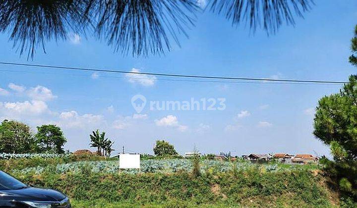 Tanah di Setiabudi Regency jarang ada cocok untuk dibangun rumah tinggal 1