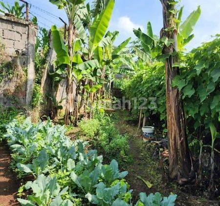 TANAH DI SETIABUDI REGENCY COCOK UNTUK DIBANGUN RUMAH TINGGAL 2