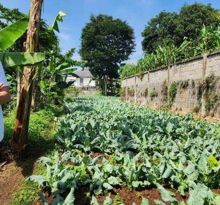 TANAH DI SETIABUDI REGENCY COCOK UNTUK DIBANGUN RUMAH TINGGAL 1