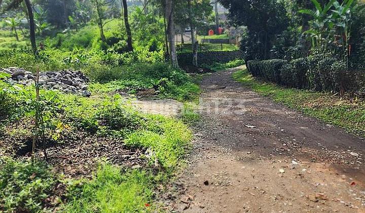FOREST VIEW LAND IN NORTH PAKAR HILL SUITABLE FOR VILLA, RESIDENCE, BUSINESS SPACE FOREST VIEW LAND IN NORTH PAKAR HILL SUITABLE FOR VILLA, RESIDENCE, BUSINESS SPACE
