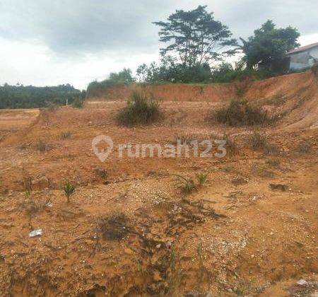 Tanah kosong jl. temu rasa badak tenayan raya 1