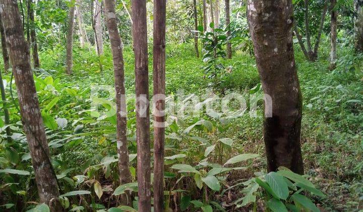 TANAH PEKARANGAN LOKASI DEKAT KOTA MANDIRI BSB MIJEN SEMARANG 2